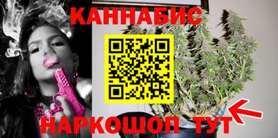 гидра Беслан