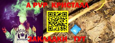 гидра Беслан
