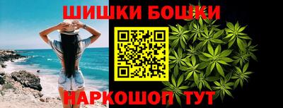 крисы Бийск