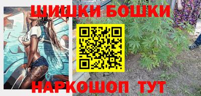 крисы Бийск
